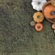 Cornucopia with pumpkins - Fruits