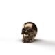 3D Bronze skull - 3D Bronze skull