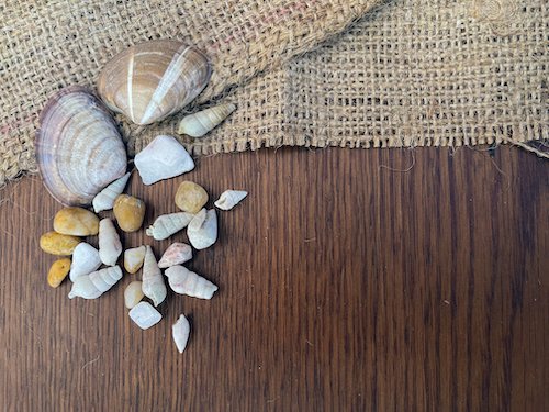 shells on burlap and wooden background