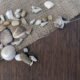 Shells and rocks on burlap - Shells