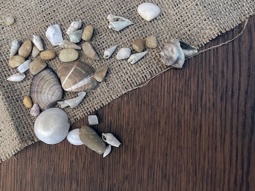 Shells and rocks on burlap and wood