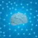 3D Human brain with plexus geometrical shapes - 3D Human brain with plexus background