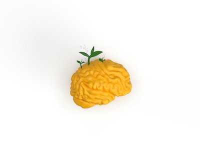 3D Human brain with sprout