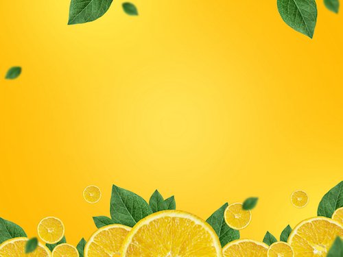 Orange slices and green leaves background