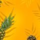 Pineapples with leaves - Fruits