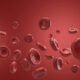 Red blood cells - Red blood cells