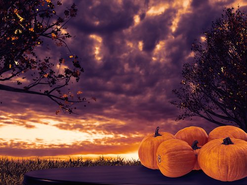 Pumpkins on table