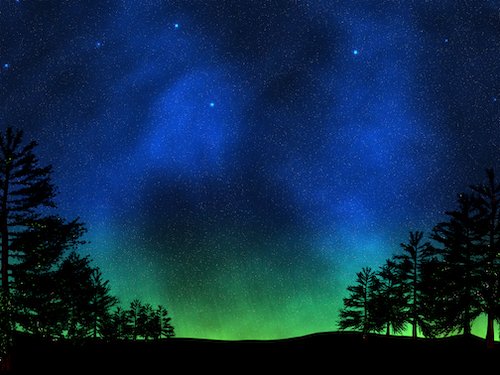 Aurora and tree silhouettes