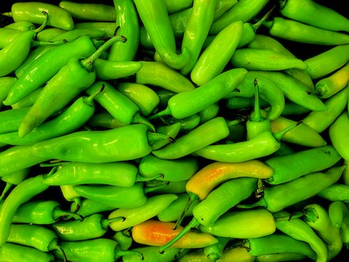 Hot green chilies stock image