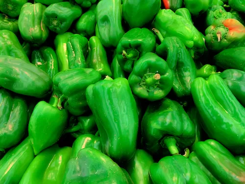Green bell peppers stock image