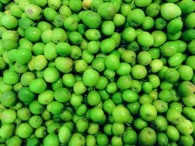 Green Jujube fruit top view stock image