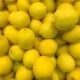 lemons - Lemon