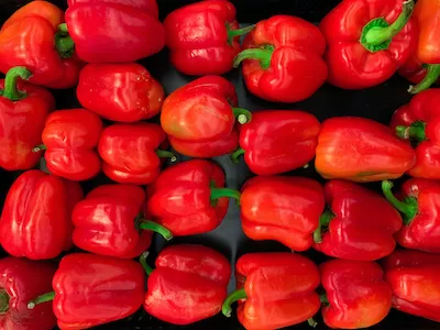 Red bell peppers stock image