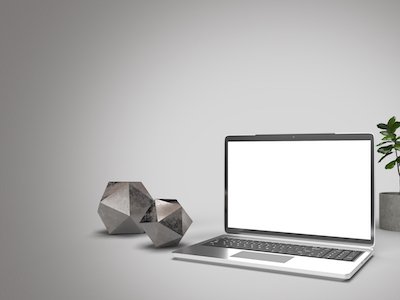 laptop with green plant and 2 grayish metal geometrical shapes on gray background.