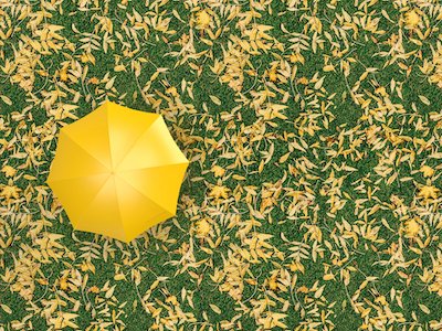 Yellow open umbrella on grass with yellow leaves background.