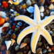 Yellow starfish with seashells - Yellow starfish with seashells stock image.
