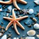 Orange starfish on blue sand beach - Orange starfish with seashells stock image.